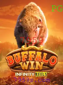 Guia Completo de BuffaloWin: Como Jogar e Regras Básicas